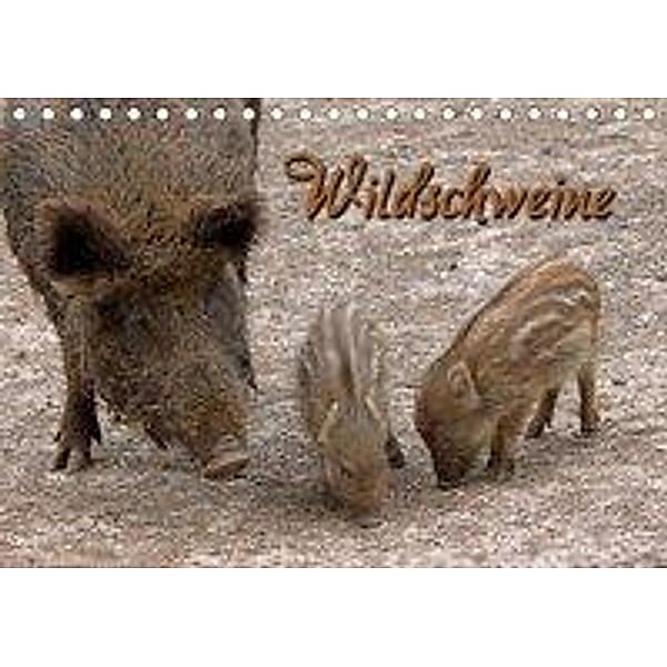 Wildschweine (Tischkalender 2020 DIN A5 quer), Martina Berg