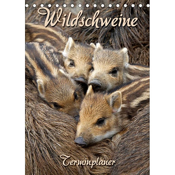 Wildschweine (Tischkalender 2022 DIN A5 hoch), Martina Berg