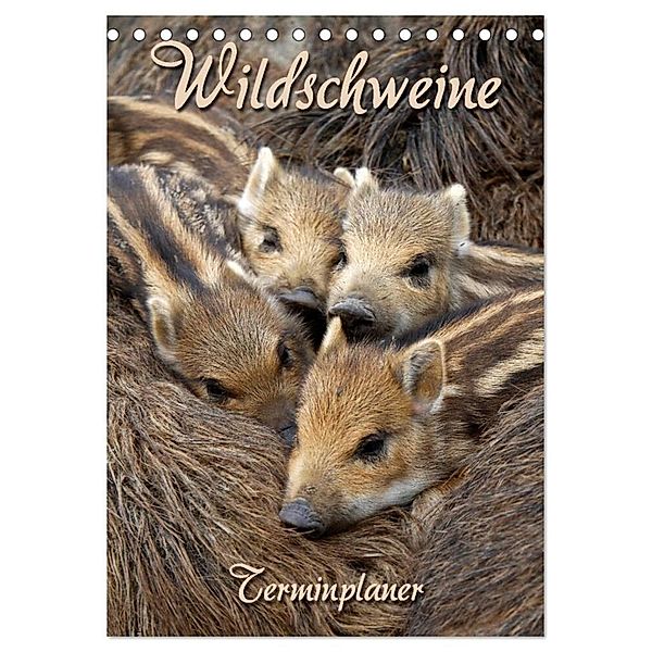 Wildschweine (Tischkalender 2024 DIN A5 hoch), CALVENDO Monatskalender, Martina Berg