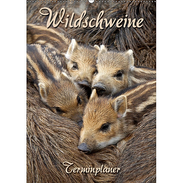 Wildschweine (Wandkalender 2019 DIN A2 hoch), Martina Berg