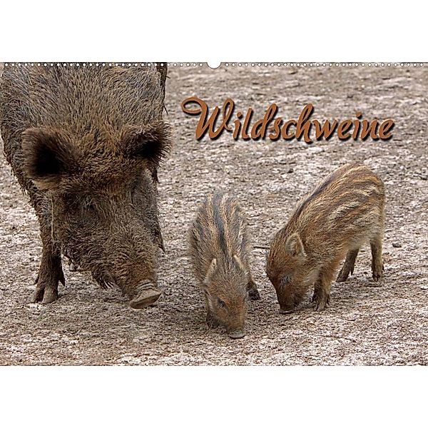 Wildschweine (Wandkalender 2023 DIN A2 quer), Martina Berg