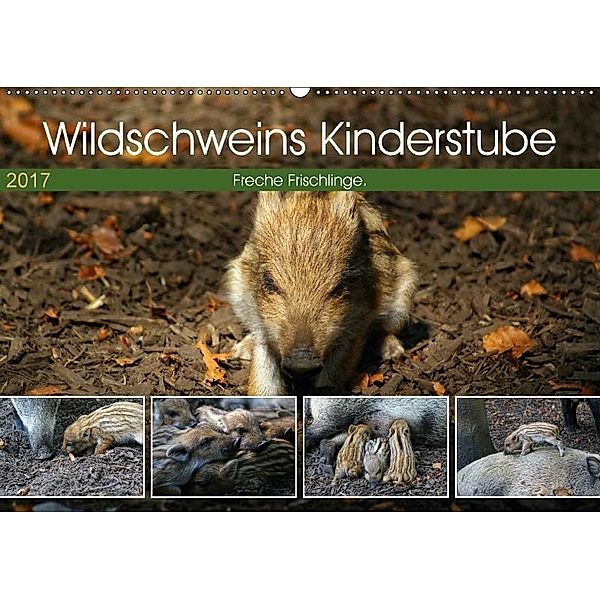 Wildschweins Kinderstube 2017 (Wandkalender 2017 DIN A2 quer), Peter Hebgen