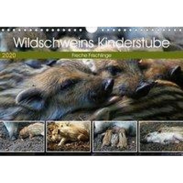 Wildschweins Kinderstube - Freche Frischlinge (Wandkalender 2020 DIN A4 quer), Peter Hebgen