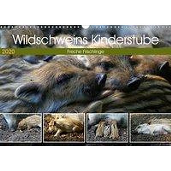 Wildschweins Kinderstube - Freche Frischlinge (Wandkalender 2020 DIN A3 quer), Peter Hebgen