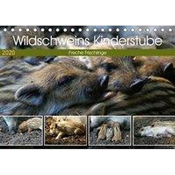 Wildschweins Kinderstube - Freche Frischlinge (Tischkalender 2020 DIN A5 quer), Peter Hebgen