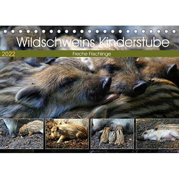Wildschweins Kinderstube - Freche Frischlinge (Tischkalender 2022 DIN A5 quer), Peter Hebgen