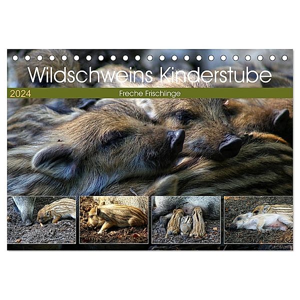 Wildschweins Kinderstube - Freche Frischlinge (Tischkalender 2024 DIN A5 quer), CALVENDO Monatskalender, Peter Hebgen