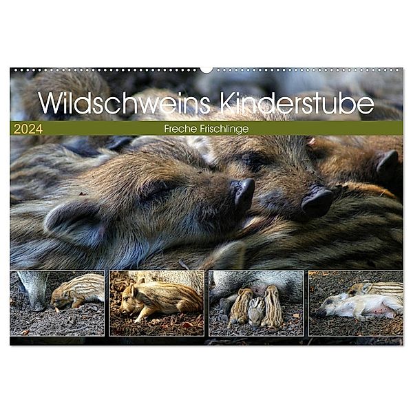 Wildschweins Kinderstube - Freche Frischlinge (Wandkalender 2024 DIN A2 quer), CALVENDO Monatskalender, Peter Hebgen