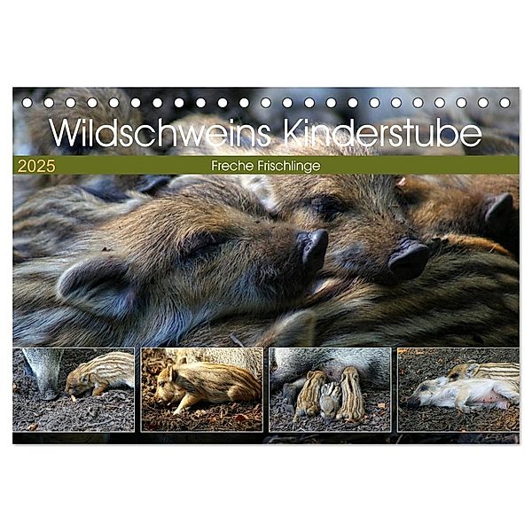 Wildschweins Kinderstube - Freche Frischlinge (Tischkalender 2025 DIN A5 quer), CALVENDO Monatskalender, Calvendo, Peter Hebgen