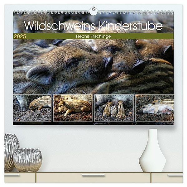 Wildschweins Kinderstube - Freche Frischlinge (hochwertiger Premium Wandkalender 2025 DIN A2 quer), Kunstdruck in Hochglanz, Calvendo, Peter Hebgen