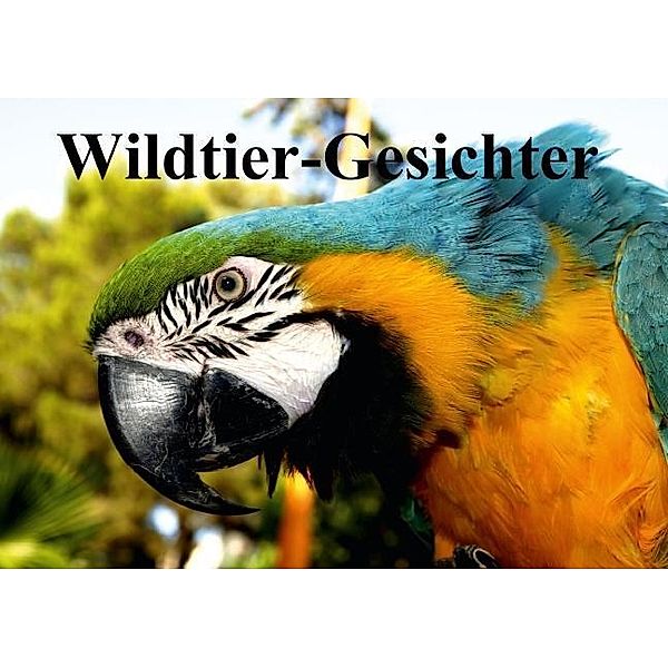 Wildtier-Gesichter (Tischaufsteller DIN A5 quer), Elisabeth Stanzer