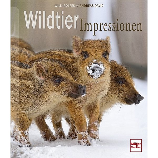 Wildtier-Impressionen, Willi Rolfes, Andreas David