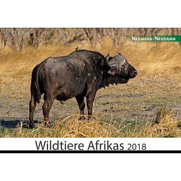 Wildtiere Afrikas 2018