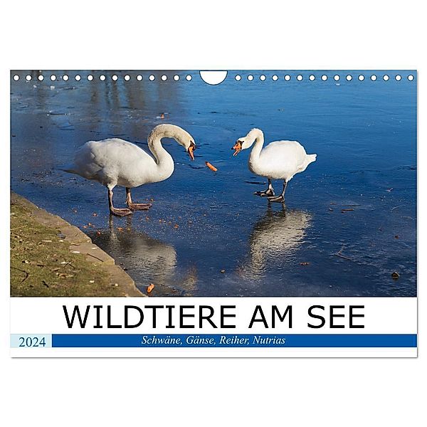 WILDTIERE AM SEE (Wandkalender 2024 DIN A4 quer), CALVENDO Monatskalender, U boeTtchEr