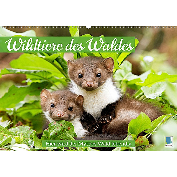 Wildtiere des Waldes: Hier wird der Mythos Wald lebendig (Wandkalender 2023 DIN A2 quer), Calvendo