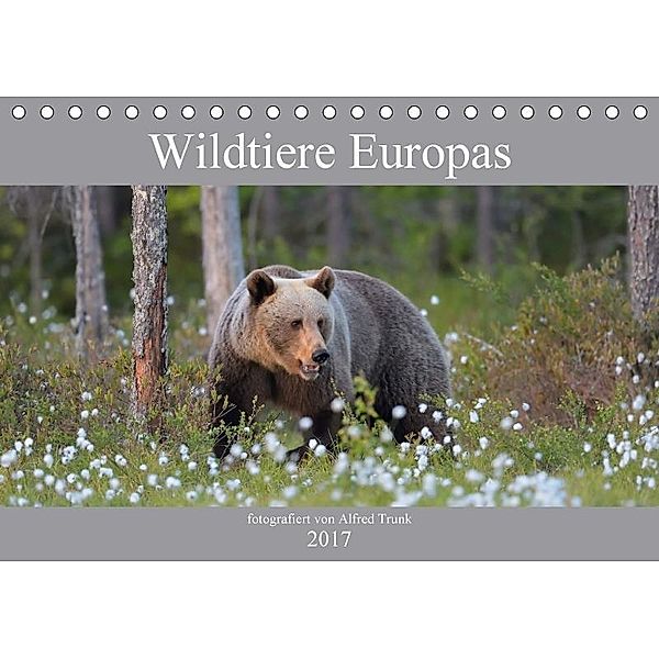 Wildtiere Europas (Tischkalender 2017 DIN A5 quer), Alfred Trunk