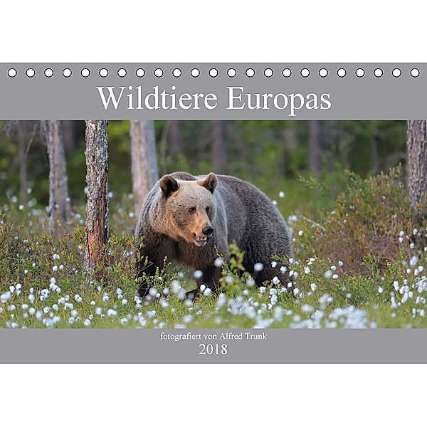 Wildtiere Europas (Tischkalender 2018 DIN A5 quer), Alfred Trunk