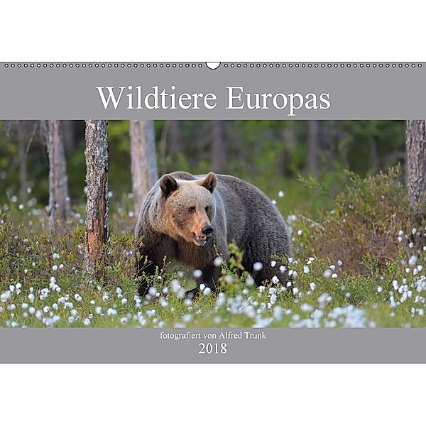 Wildtiere Europas (Wandkalender 2018 DIN A2 quer), Alfred Trunk