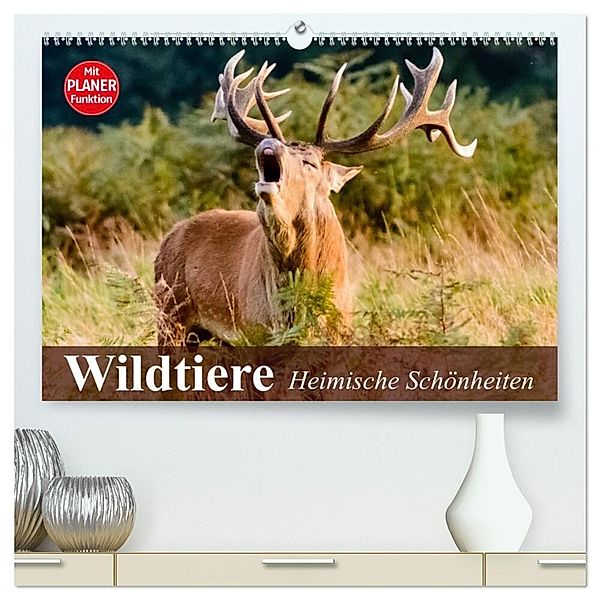 Wildtiere. Heimische Schönheiten (hochwertiger Premium Wandkalender 2024 DIN A2 quer), Kunstdruck in Hochglanz, Elisabeth Stanzer