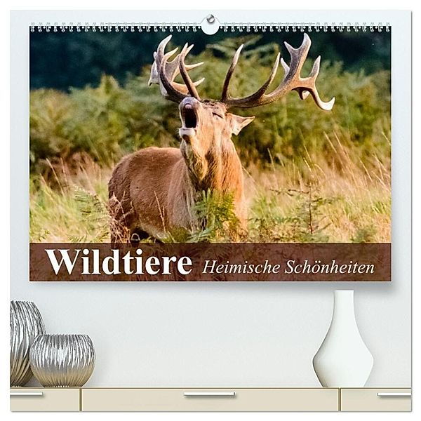 Wildtiere. Heimische Schönheiten (hochwertiger Premium Wandkalender 2025 DIN A2 quer), Kunstdruck in Hochglanz, Calvendo, Elisabeth Stanzer