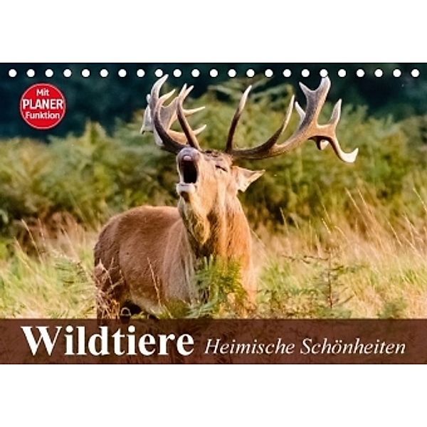 Wildtiere. Heimische Schönheiten (Tischkalender 2017 DIN A5 quer), Elisabeth Stanzer