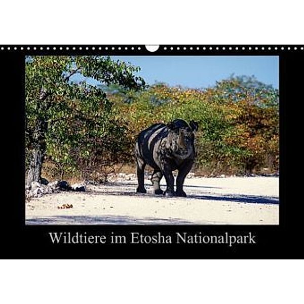 Wildtiere im Etosha Nationalpark (Wandkalender 2015 DIN A3 quer), Ewald Steenblock