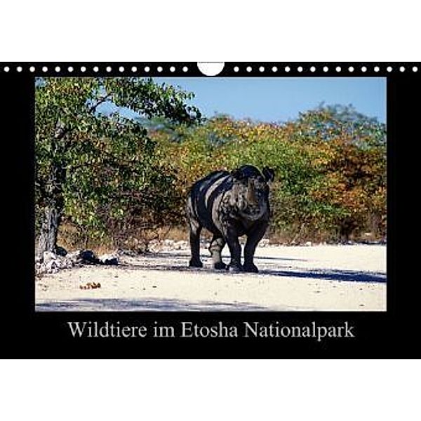 Wildtiere im Etosha Nationalpark (Wandkalender 2015 DIN A4 quer), Ewald Steenblock