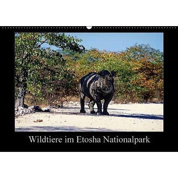 Wildtiere im Etosha Nationalpark (Wandkalender 2016 DIN A2 quer), Ewald Steenblock