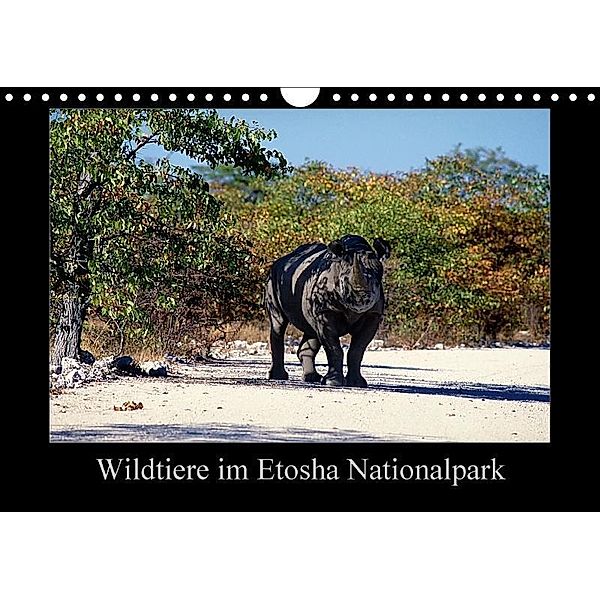 Wildtiere im Etosha Nationalpark (Wandkalender 2017 DIN A4 quer), Ewald Steenblock