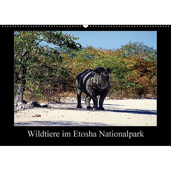 Wildtiere im Etosha Nationalpark (Wandkalender 2018 DIN A2 quer), Ewald Steenblock