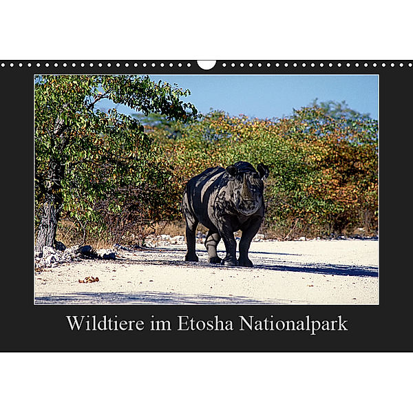 Wildtiere im Etosha Nationalpark (Wandkalender 2019 DIN A3 quer), Ewald Steenblock