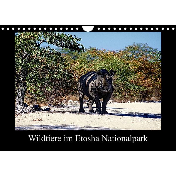 Wildtiere im Etosha Nationalpark (Wandkalender 2023 DIN A4 quer), Ewald Steenblock