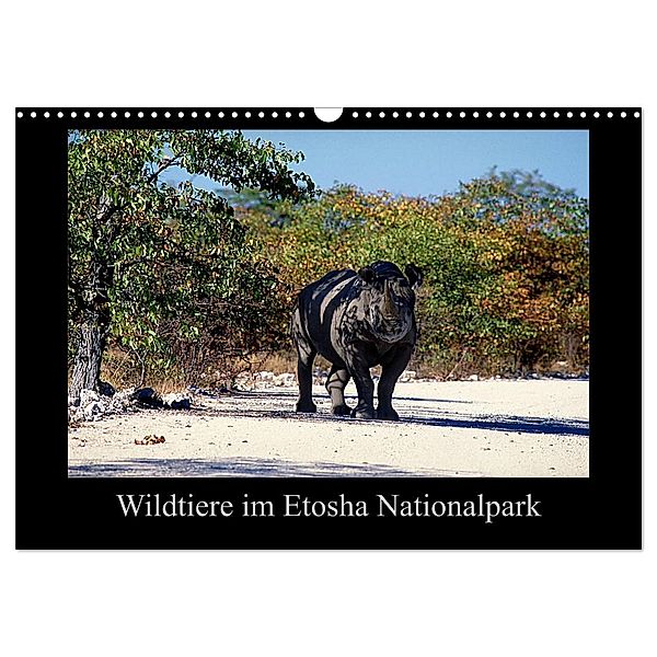 Wildtiere im Etosha Nationalpark (Wandkalender 2024 DIN A3 quer), CALVENDO Monatskalender, Ewald Steenblock