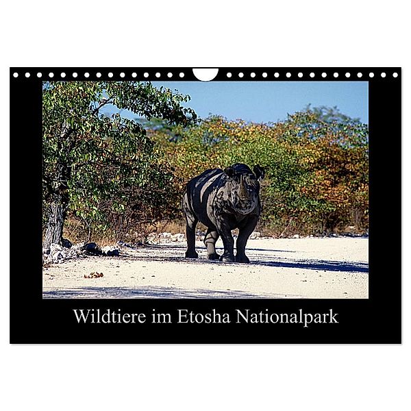 Wildtiere im Etosha Nationalpark (Wandkalender 2024 DIN A4 quer), CALVENDO Monatskalender, Ewald Steenblock