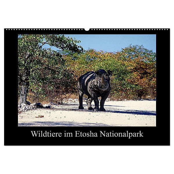 Wildtiere im Etosha Nationalpark (Wandkalender 2024 DIN A2 quer), CALVENDO Monatskalender, Ewald Steenblock