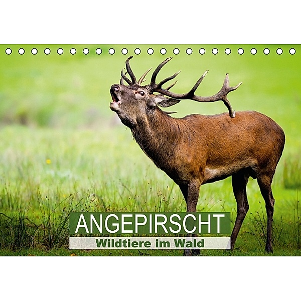 Wildtiere im Wald Angepirscht (Tischkalender 2014 DIN A5 quer), Calvendo