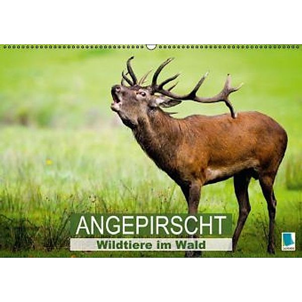 Wildtiere im Wald Angepirscht (Wandkalender 2015 DIN A2 quer), Calvendo