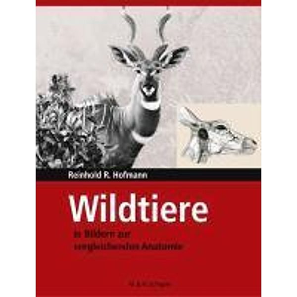 Wildtiere in Bildern zur Vergleichenden Anatomie, Reinhold R. Hofmann