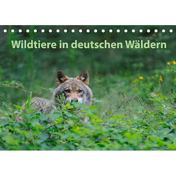 Wildtiere in deutschen Wäldern (Tischkalender 2022 DIN A5 quer), Karin Jähne