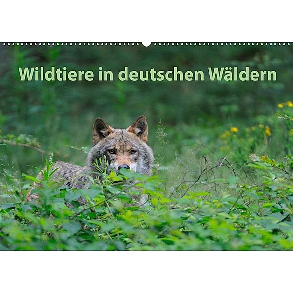 Wildtiere in deutschen Wäldern (Wandkalender 2023 DIN A2 quer), Karin Jähne