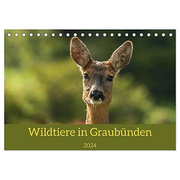 Wildtiere in Graubünden (Tischkalender 2024 DIN A5 quer), CALVENDO Monatskalender, Jürg Plattner