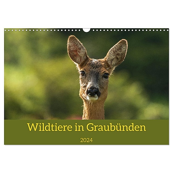 Wildtiere in Graubünden (Wandkalender 2024 DIN A3 quer), CALVENDO Monatskalender, Jürg Plattner