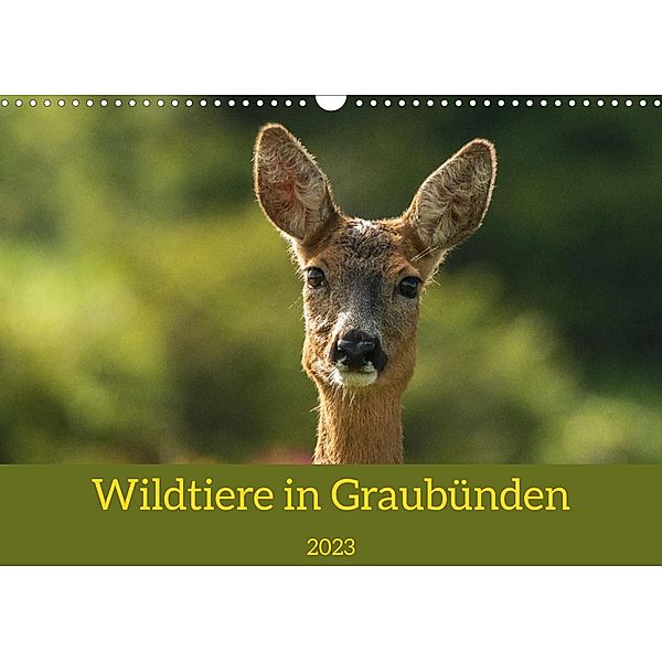 Wildtiere in GraubündenCH-Version  (Wandkalender 2023 DIN A3 quer), Jürg Plattner