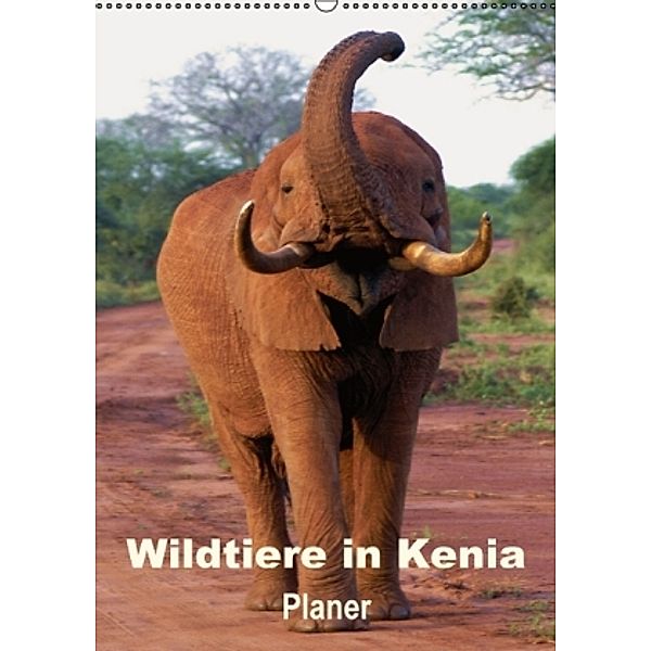 Wildtiere in Kenia / Planer (Wandkalender 2016 DIN A2 hoch), Rudolf Blank
