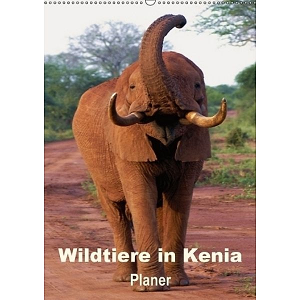 Wildtiere in Kenia / Planer (Wandkalender 2017 DIN A2 hoch), Rudolf Blank