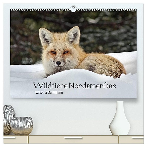 Wildtiere Nordamerikas (hochwertiger Premium Wandkalender 2024 DIN A2 quer), Kunstdruck in Hochglanz, Ursula Salzmann