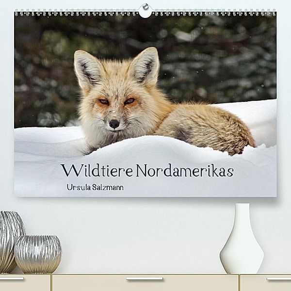 Wildtiere Nordamerikas (Premium-Kalender 2020 DIN A2 quer), Ursula Salzmann