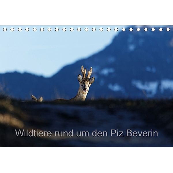 Wildtiere rund um den Piz BeverinCH-Version (Tischkalender 2018 DIN A5 quer), Christian Danuser