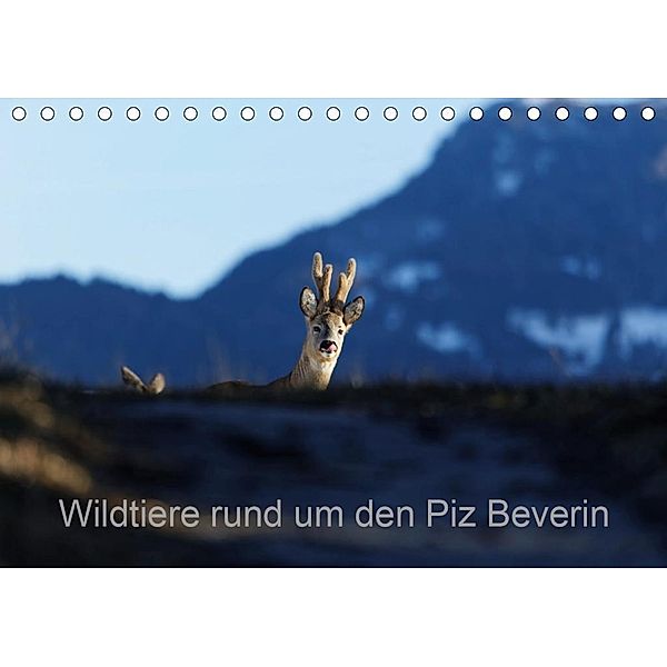 Wildtiere rund um den Piz BeverinCH-Version (Tischkalender 2020 DIN A5 quer), Christian Danuser