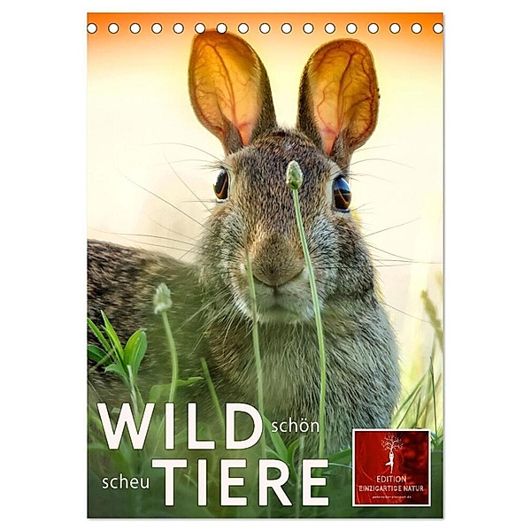 Wildtiere - schön und scheu (Tischkalender 2024 DIN A5 hoch), CALVENDO Monatskalender, Peter Roder